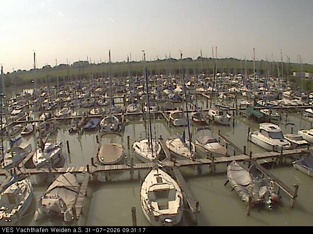 yes