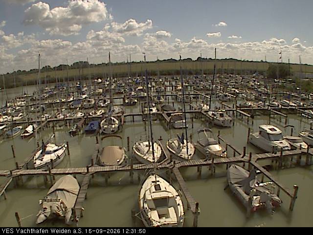 yes