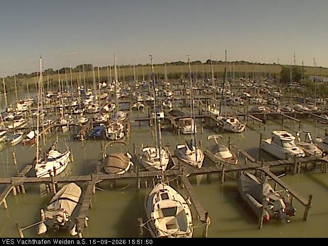 yes
